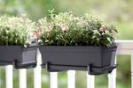 green basics balkonkasten 50cm living schwarz